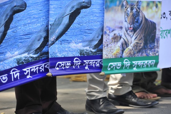 Environment experts, social workers and conscious citizen holding banner-festoon take part at a human Chain in the capital in demand to save Sundarban, the world largest remaining mangrove forests. Image by Firoz Ahmed. Copyright Demotix (21/3/2013)