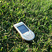 Cell phone in grass