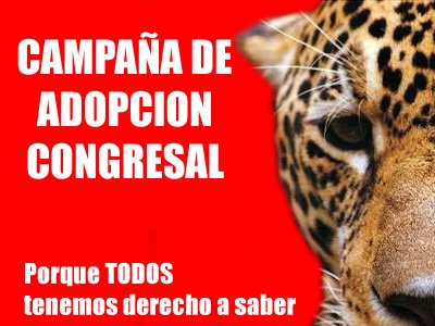 Campaña adopta un congresista de Perú