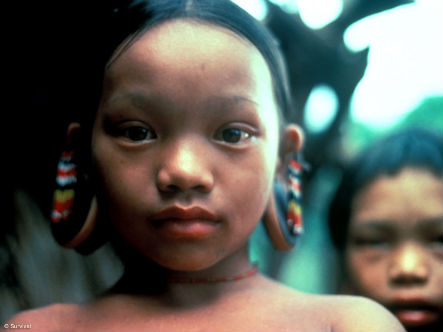 Penan Tribe