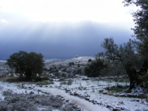 Snow in Beit El (credited to Yishai Fleisher)