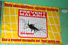 Prevenire la malaria