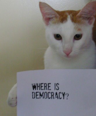 'Dov'è la democrazia' in Malaysia?