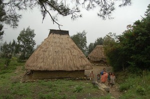 Village dans la montagne de Maliana - Timor Oriental. Photo SReyes