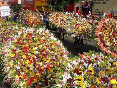 Photo of Silleta Flower Display by Jota Estrada and used under a Creative Commons license.