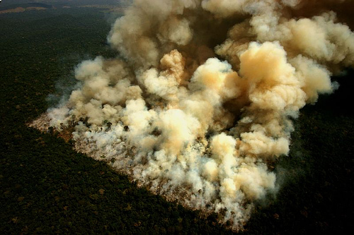 Fire in the Amazon Forest. Photo by Flickr user leoffreitas.