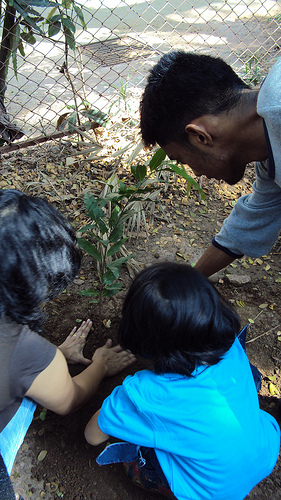 Netizen che piantano alberelli, immagine ripresa da Bombay Lives