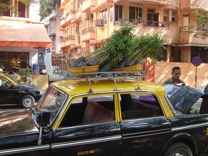 Trasporto degli alberelli, immagine ripresa da Bombay Lives
