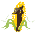 Logo dei Nuevos Decimeros
