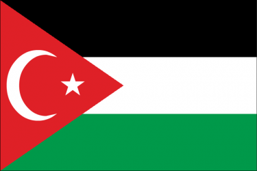 Gaza-Turkey solidarity flag