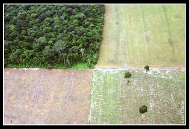 Deforested area cleared for soya crops in the Amazon rainforest, Santarem town, Pará State, Brazil