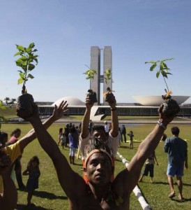 Demonstratie van inheemse gemeenschap in Brasilia