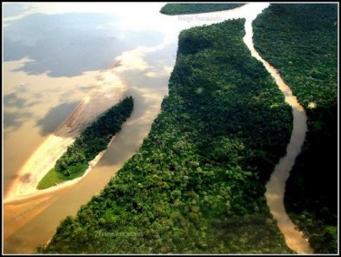 Selva amazônica, rios e ilhas, copyright da usuária do Flickr Rosadosventos22 (utilizada com permissão)
