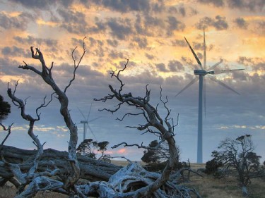 Millicent wind farm, South Australia at sunrise. Image by Flickr user Bush Philosopher - Dave Clarke (CC BY-NC-ND 2.0).