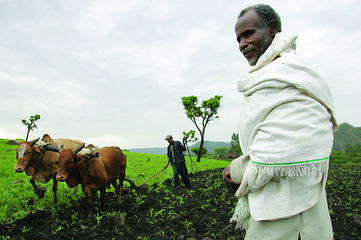 Worku Mengiste, a farmer in Ethiopia's Ghibe valley. Image by Flickr user ILRI (CC BY-NC-SA 2.0).