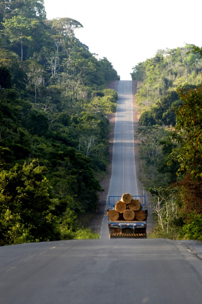 A truckload of timber leaves the Amazon. -- Deforestation and the timber industry on the Amazon. Photo by Christian Franz Tragni, copyright Demotix (18/02/2009)
