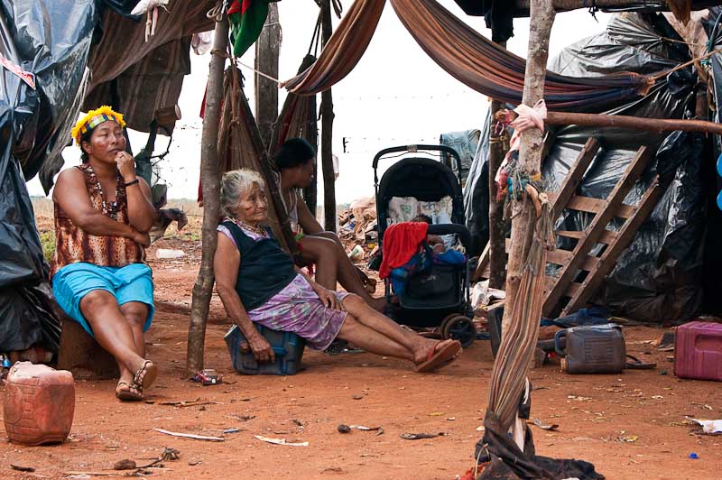 O custo social da expansão de biocombustível: a comunidade indígena Guarani Kaoiwa de Laranjeira Nhanderu foram expulsos de suas terras há 14 meses atrás para dar lugar as plantações de cana.Foto de Annabel Symington, direitos Demotix (21/10/10).