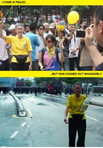 A grandma who joined the rally. From the Twitpic page of @eugeneteoh.