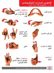 Microbus Hand Signals Dictionary