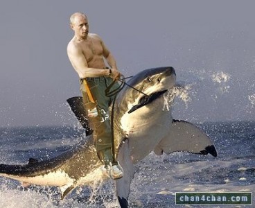 Putin riding a shark by LiveJournal user a_simakoff 
