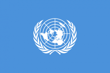 United Nations flag. Source: Wikipedia