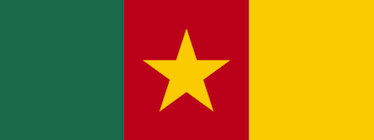 Cameroon flag. Flickr: erjkprunczyk (CC BY-NC-SA 2.0).