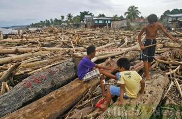 A MindaNews photo shows the logs brought down by the floods to Iligan City from logging sites.
