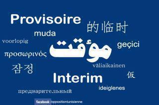 In reaction to the complaint a photo with the term "interim" in different languages was created. Image posted to Facebook.