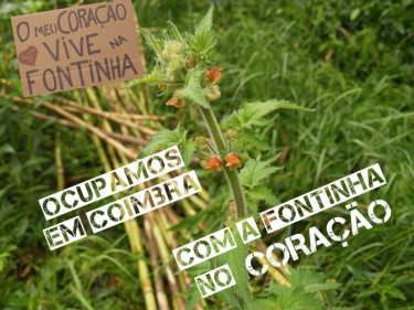 "O meu coração vive na Fontinha. Ocupamos Coimbra com a Fontinha no coração". Imagem de Jardins de Abril no Facebook.