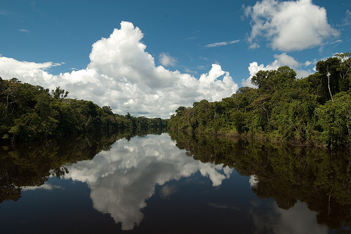Amazônia peruana. Foto de Pearl Vas (CC BY 2.0)