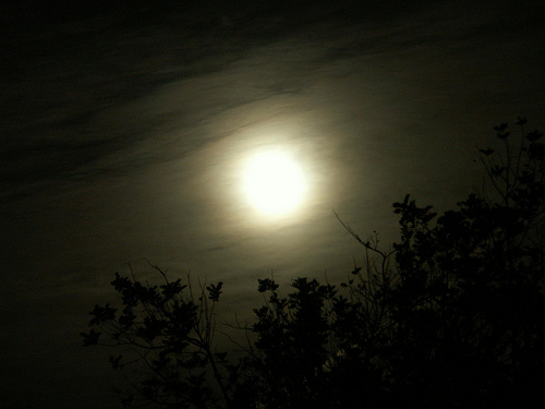 Night Sky, Moon CCBY thisreidwrites