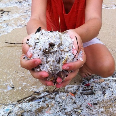 Report from Sam Pak Wan, Discovery Bay in August 10, 2012. Photo from Plastic Disaster on Facebook.