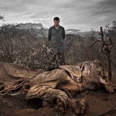 Yao Ming comes face to face with a poached elephant in Northern Kenya. Image by Kristian Schmidt from WildAid Facebook page.