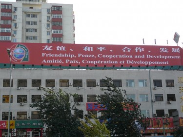 Bannière à Beijing en novembre 1996, lors du forum de coopération Chine-Afrique. Image sous licence Creative Commons (CC BY-SA 2.0)  par le compte Flickr stephenrwalli