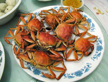Pinakuluang Chinese mitten crabs. mula sa Flickr ni autan (CC BY-NC-ND 2.0).