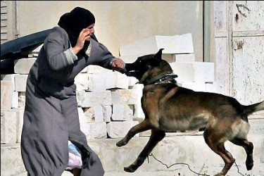 Photograph of a dog biting a Palestinian woman, from the Facebook page I Love Dogs 