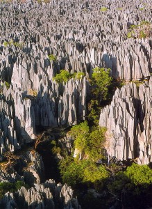 Tsingy de Bemaraha Strict Nature Reserve in Madagascar. Image on Wikipedia (CC-license-BY-3.0).