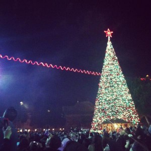 Beautiful Christmas tree lighting in Bethlehem 