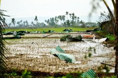 Impact of the storm in Compostela Valley