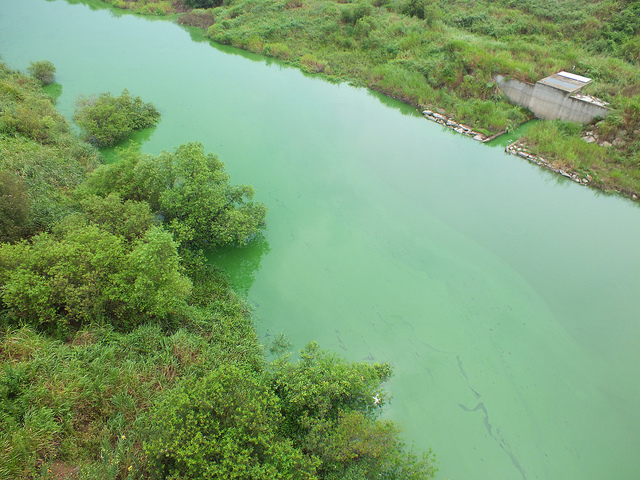 Imagen de un río en la provincia de Gyeongsang
