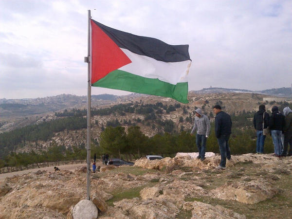 Photograph of the Palestinian flag flown on Bab Al Shams. Photo shared on Twitter by @Lemapal