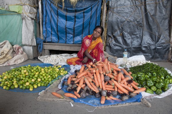 India's 82nd Union budget in parliament enhances the outlays for Scheduled Caste Welfare, farm credit, women development, health, and urban development sectors. Image of an Indian businesswomen by Tumpa Mandal. Copyright Demotix (28/2/2013)