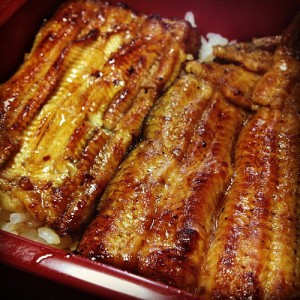 Specially cooked eels in Japan. Photo from ysishikawa.