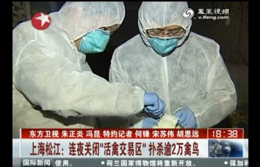 Screen shot from Shanghai's Dragon TV: Health officers draw blood from a pigeon