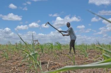 A Mozambican farmer working the land. Photo used on CC BY-NC 2.0 license, by Flickr user Bread for the World