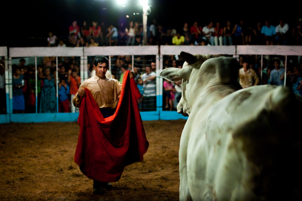 مصارعة الثيران التي يطلق عليها أيضاً اسم "تورين" حيث لا يتم فيها قتل الثور، بدائرة ان بيدرو، باراجواي، تصوير التون نونيز.