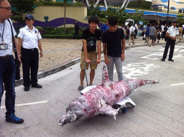 Blood-tainted dolphin sculpture via inmediahk.net (CC: AT-NC)