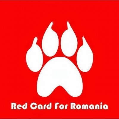 In protest, thousands netizens have changed their Facebook profile page to show the bright red dog paw