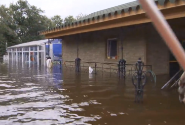 Flooding along the Amur near Khabarovsk. 18 August 2013, screen capture from YouTube.