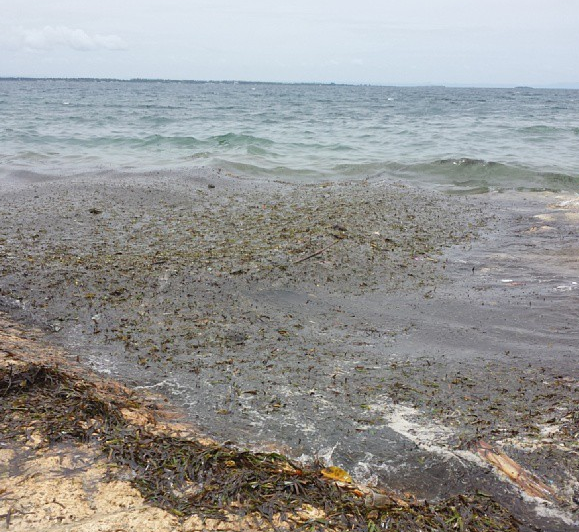 Oil spill also reached Mactan beaches. Photo by @shai_ong